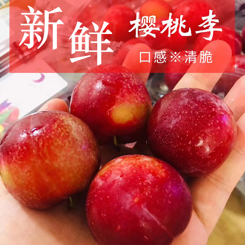 现货智利樱桃李当季水果小红布林新鲜红心李子5斤一箱