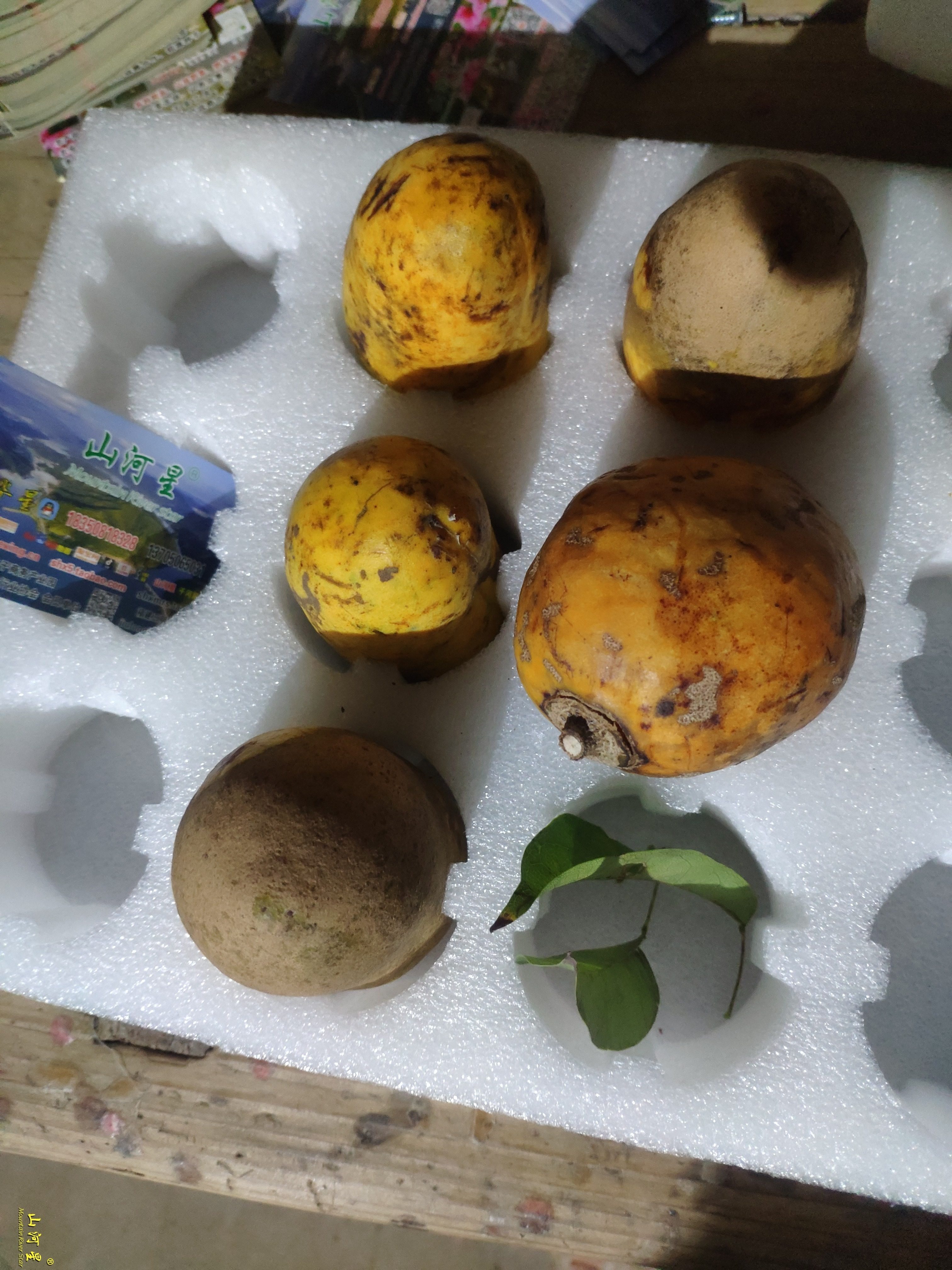 野果新鲜牛卵坨母婴童奇异不常见没见过少见的稀奇古怪的特色水果