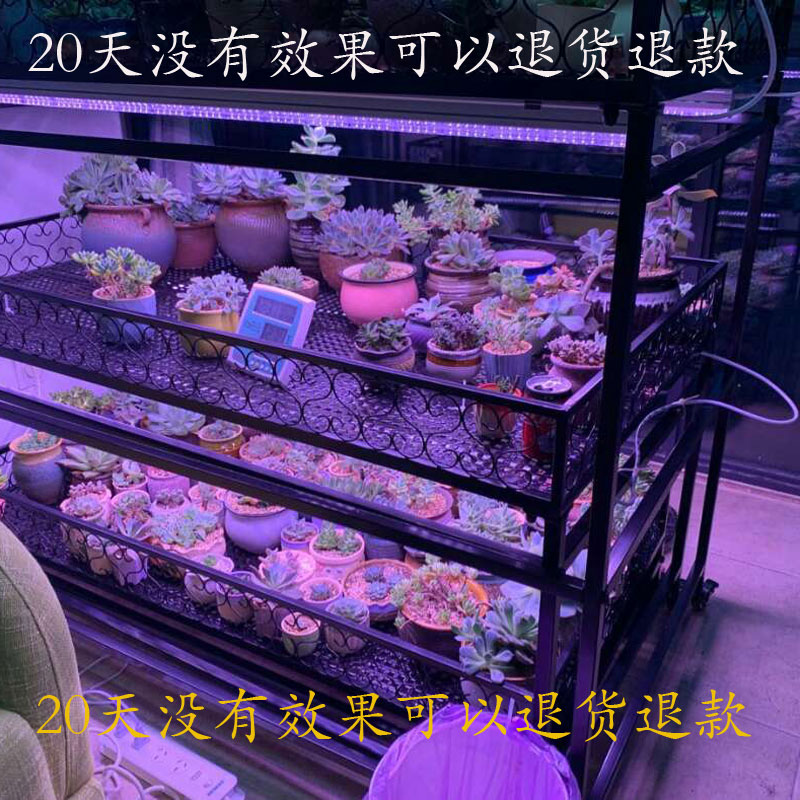 State Long Spectrum Botany Grow lights flowers and plants indoor Color Fill Light Medallions Lamp tube UVin the Decoration main material , Lamps , Functional lamps and lanterns, Grow Light category - from Buy2taobao.com to provide professional Taobao agent buy service