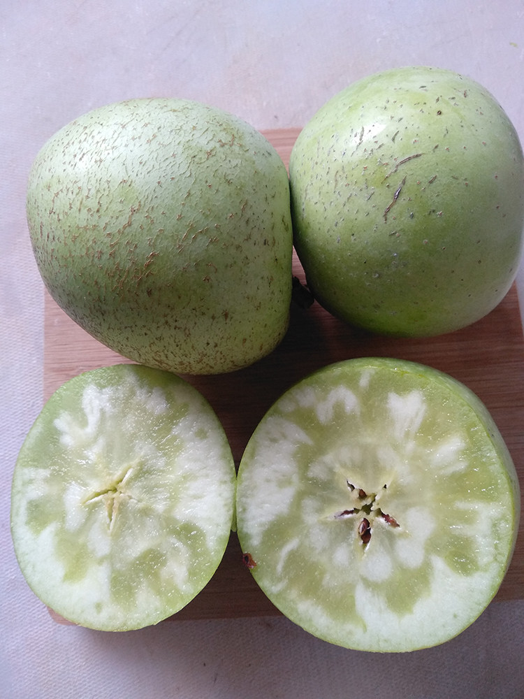 正宗烟台印度青苹果印冬常青甜蕉甜香蕉丑苹果5斤