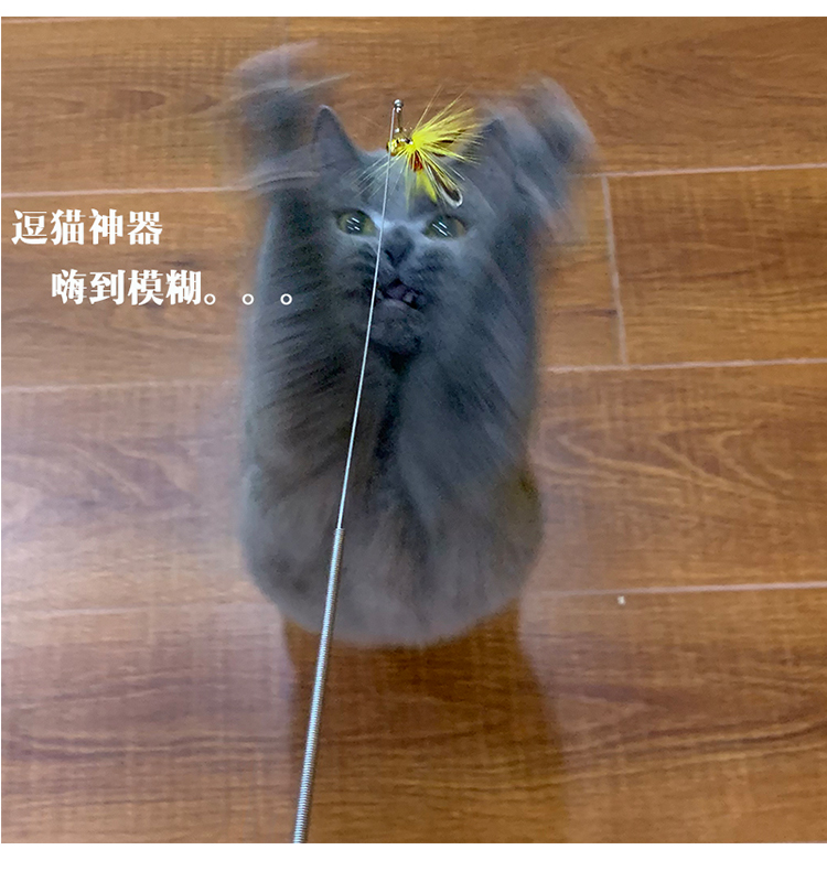 康派特小姐姐自制手工逗猫棒仿真飞虫嗨到模糊的猫玩具
