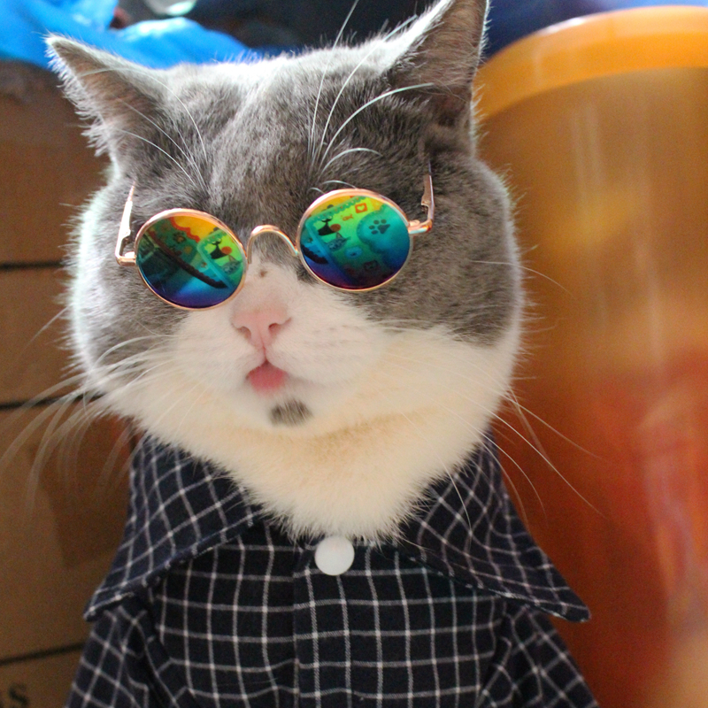 猫咪墨镜宠物眼镜太阳眼镜金属框圆形墨镜英短布偶猫眼镜搞怪造型