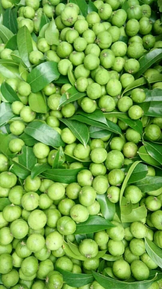 阳春-特价促销-优惠券领取-价格|多少钱|什么牌子好-35优惠券网站