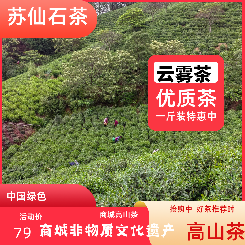 商城高山茶 信阳毛尖 新茶 苏仙石 信阳毛尖绿茶半斤装商城高山茶