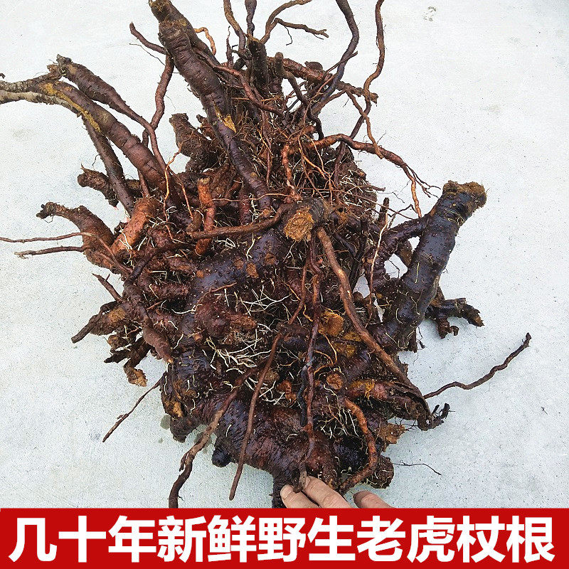 中要材野生新鲜虎杖根500g土大黄酸筒杆酸杖根花斑竹大接骨黄地榆