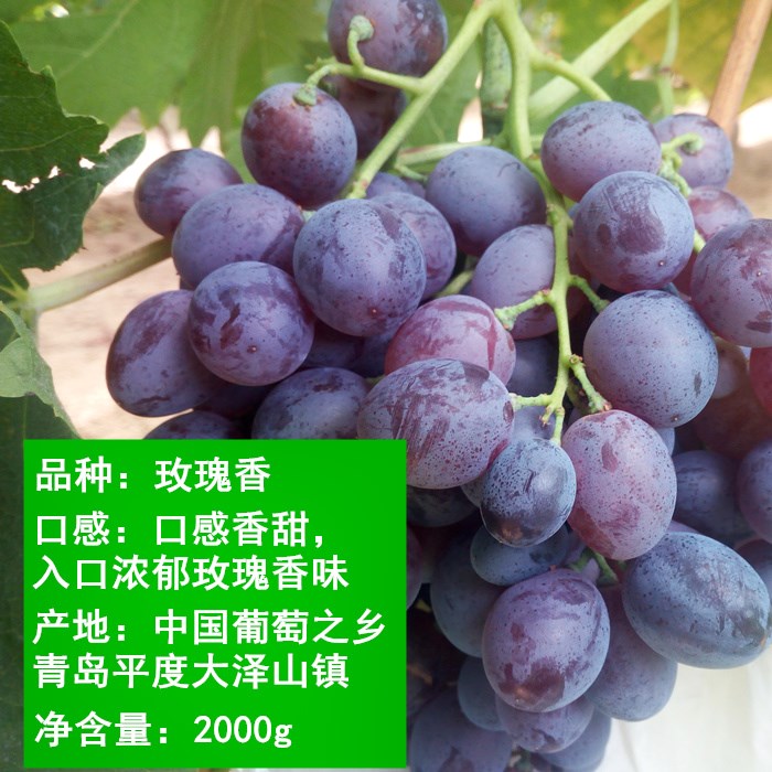 淘宝山东大泽山玫瑰香葡萄