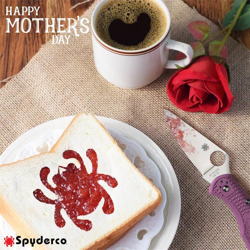 美国 Spyderco 蜘蛛 Spront Run C11 41 244 242 235 152 89 图册|ruв категории электронный словарь/электрический бумажных книг/канцелярские принадлежности, полиграфической продукции, Другие полиграфической продукции - от Buy2taobao.com для оказания профессиональной услуги покупки агента Taobao