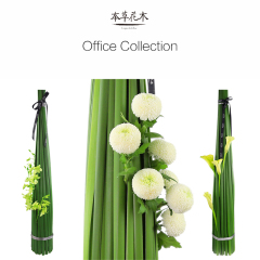 本草花木 「Office Collection」鲜花速递昆明开业花礼企业用花