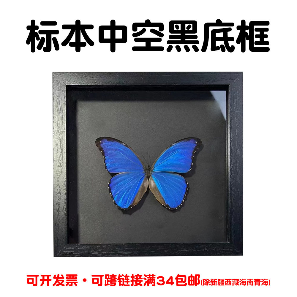 标本中空框diy手工蝴蝶昆虫标本立体相框摆台干花保存展示画框架