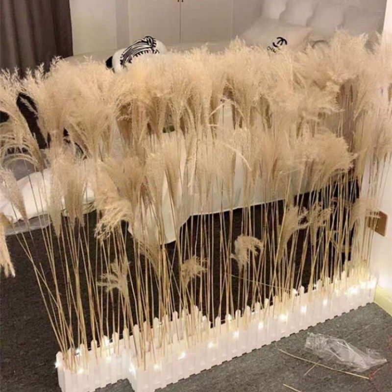 芦苇干花粉色原色网红永生花花束橱窗装饰客厅落地式摆件婚庆道具