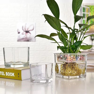 速发郁金香水培容器种球器皿花盆玻璃瓶透明水养花瓶客厅摆件植物
