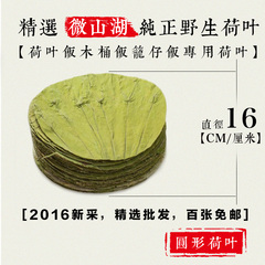 16年新荷叶定制圆形切片16CM100张可做木桶饭垫底笼仔饭荷叶饭汤