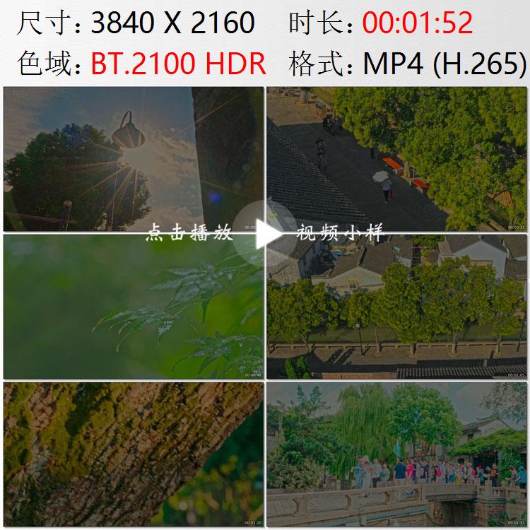 航拍苏州平江路石桥小河绿树石榴树来往游客旅游团实拍视频素材