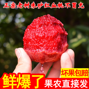 应季现摘红心紫肉红桃水果新鲜血桃水蜜桃子孕妇孩子水果 5斤桃子