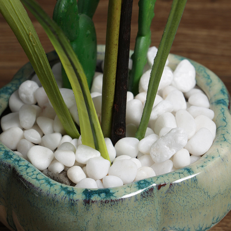 白色鹅卵石大额优惠券