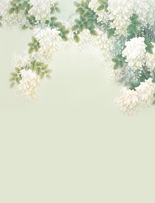 古装儿童背景亲子影楼写真母女拍照pz652背景布类