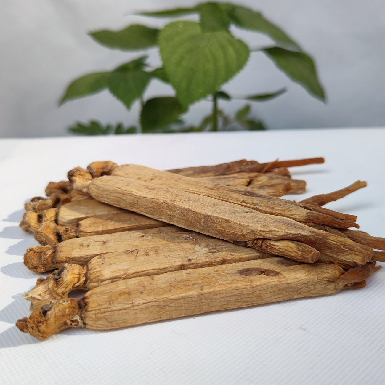 500g长白山人参高丽参别直参整条非朝鲜韩国人参整枝切片女性滋补