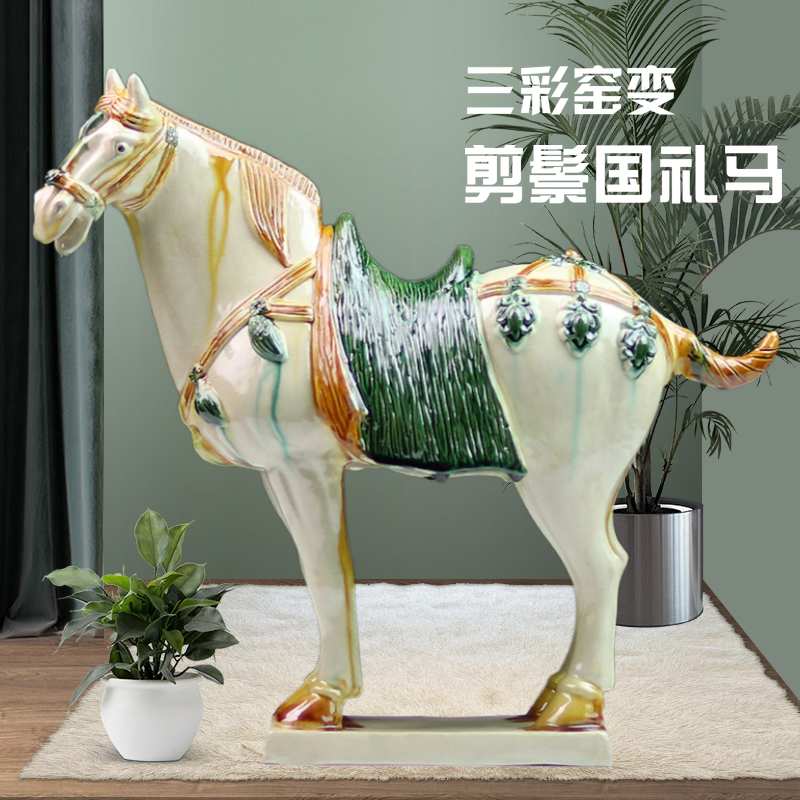 三彩马水族