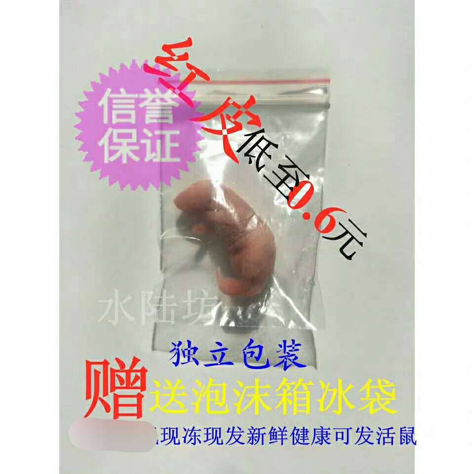 冰冻独立包装乳鼠红皮粉皮小白鼠繁殖组真空爬宠三吱泡酒活体饲料在类目 宠物/宠物食品及用品, 爬虫/鸣虫及其用品, 爬虫/鸣虫食物中 - 来自Buy2taobao.com提供专业的淘宝代购服务