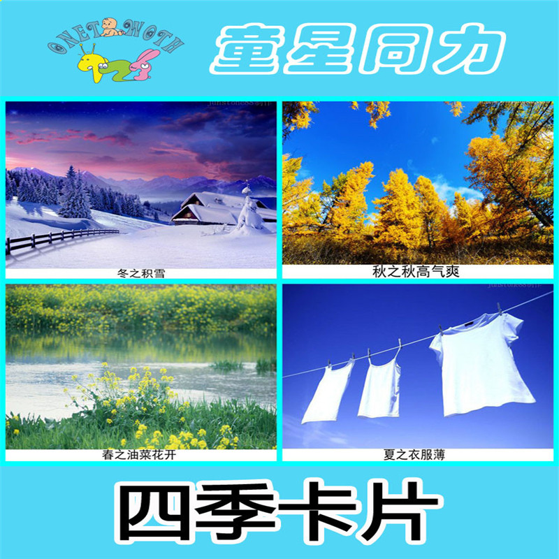 卡片自闭症孤独症aba教学实操四季儿童康复训练早教闪卡