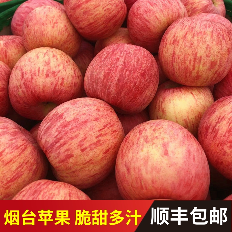 水果苹果新鲜山东烟台栖霞红富士脆甜