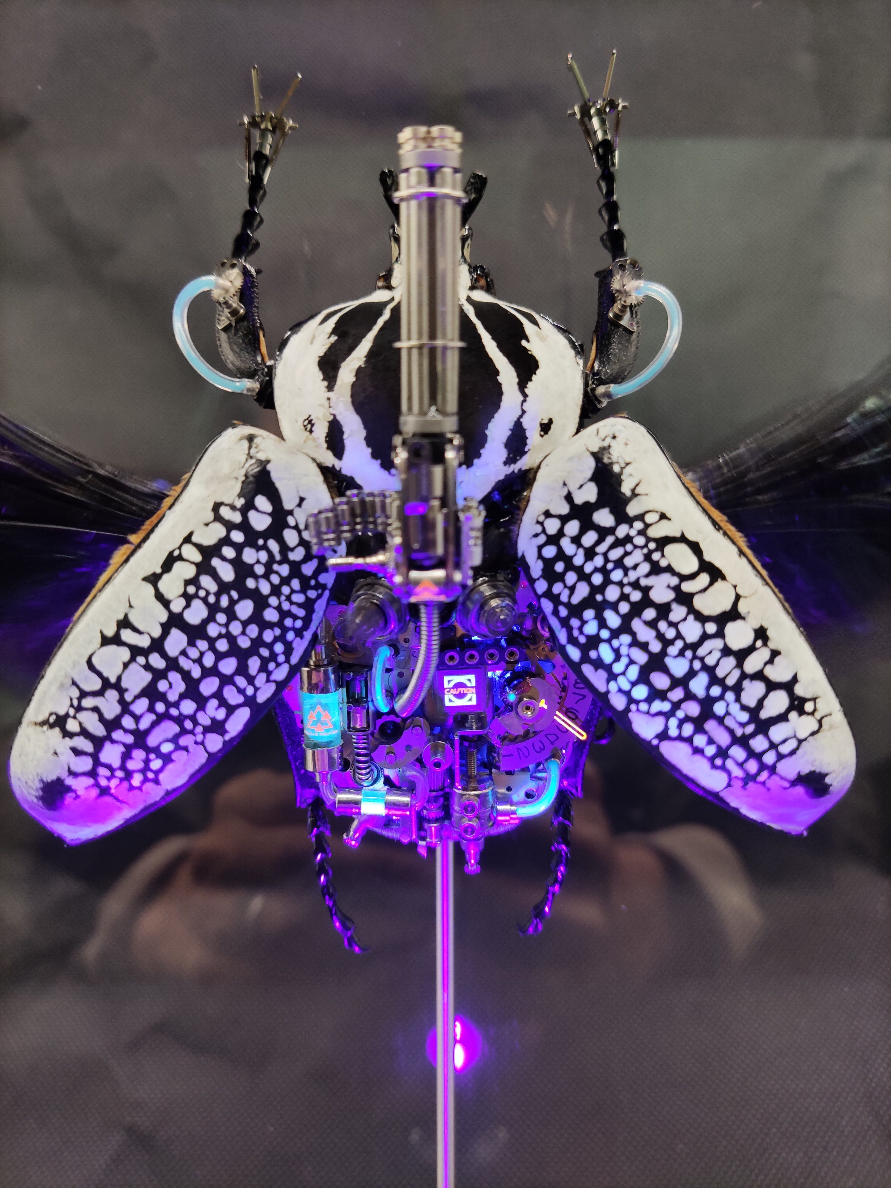 【奇奇怪怪设计】赛博朋克机械甲虫大王花金龟标本创意摆件礼物