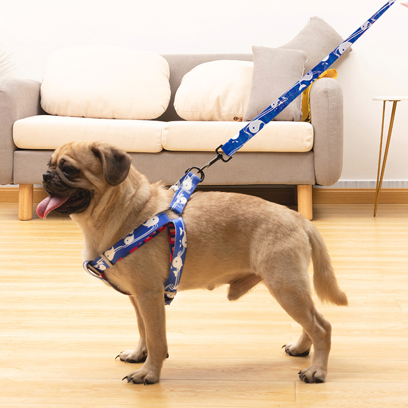 狗狗牵引绳胸背套项圈脖套狗链子狗绳子多色小型犬中型犬狗链狗绳