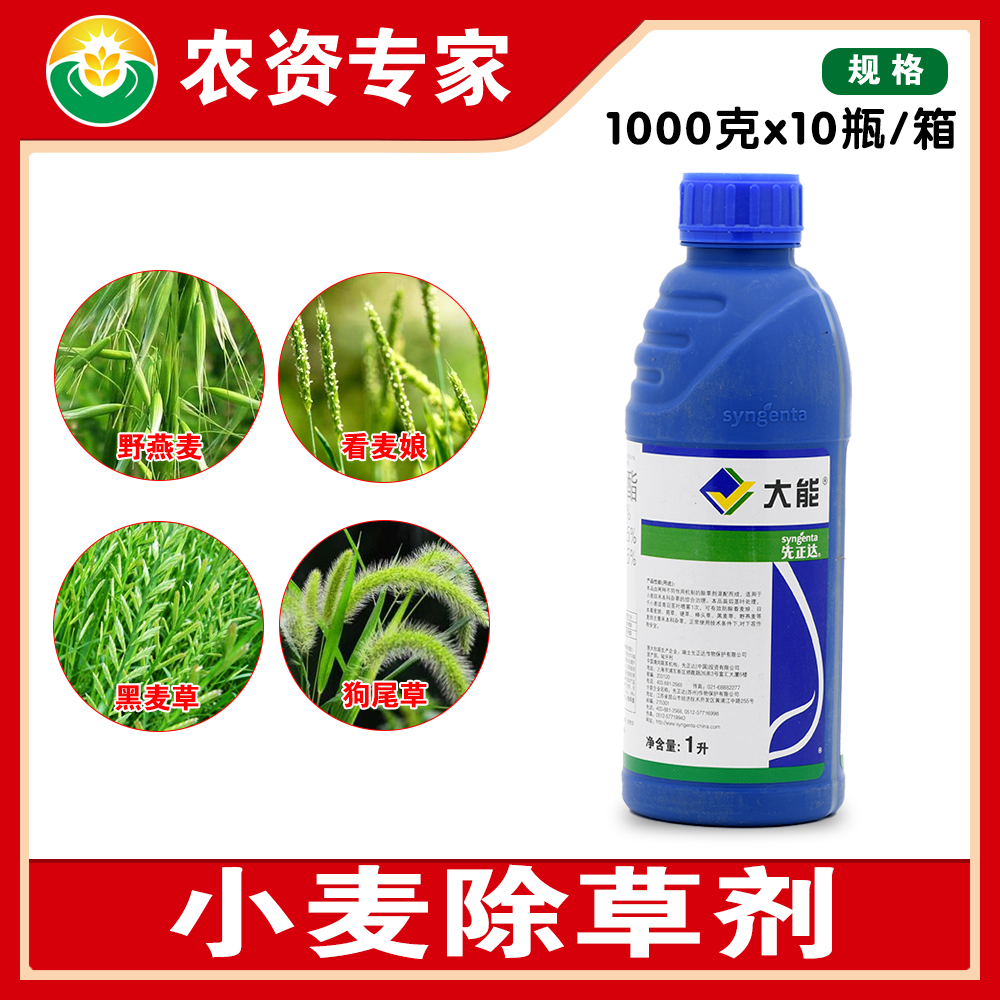 先正达大能唑啉草酯炔草酯小麦田禾本科杂草杂草多