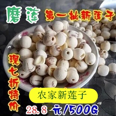 2016年第一批新莲子磨皮白莲子微山湖无芯  500G 五谷杂粮