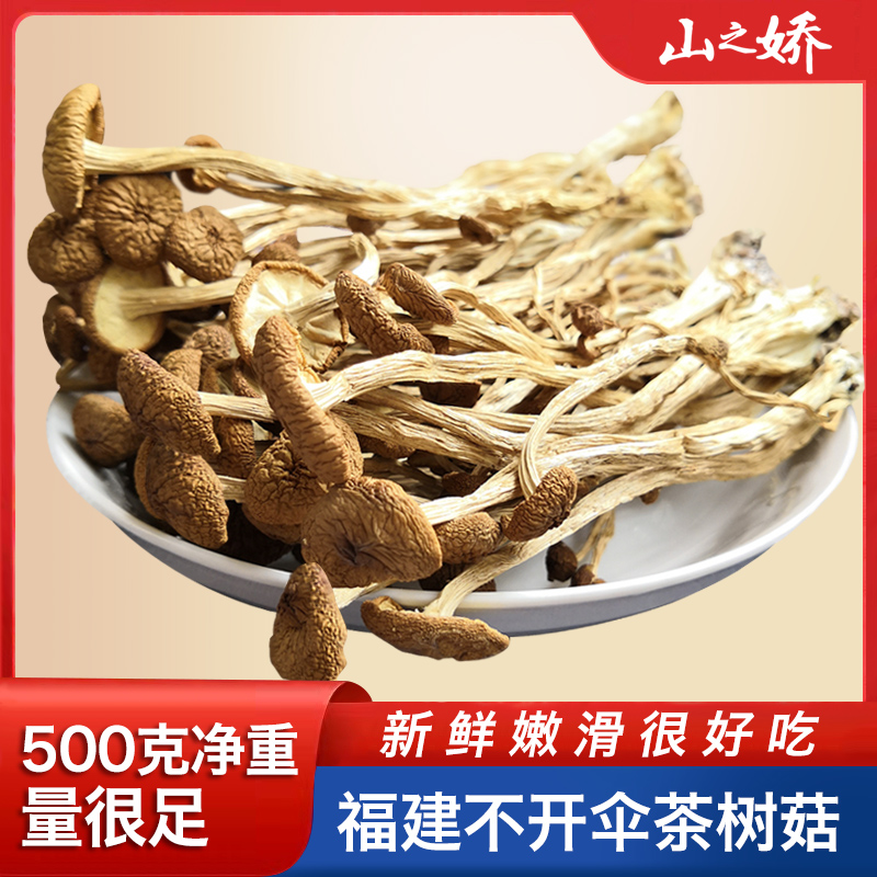 福建古田不开伞 茶树菇干货 500