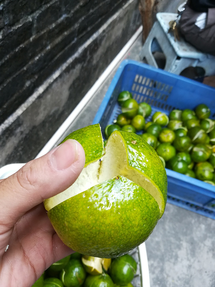 新会陈皮2021新皮原枝正宗特级一线产区柑橘皮粮仓东甲圈枝大红皮