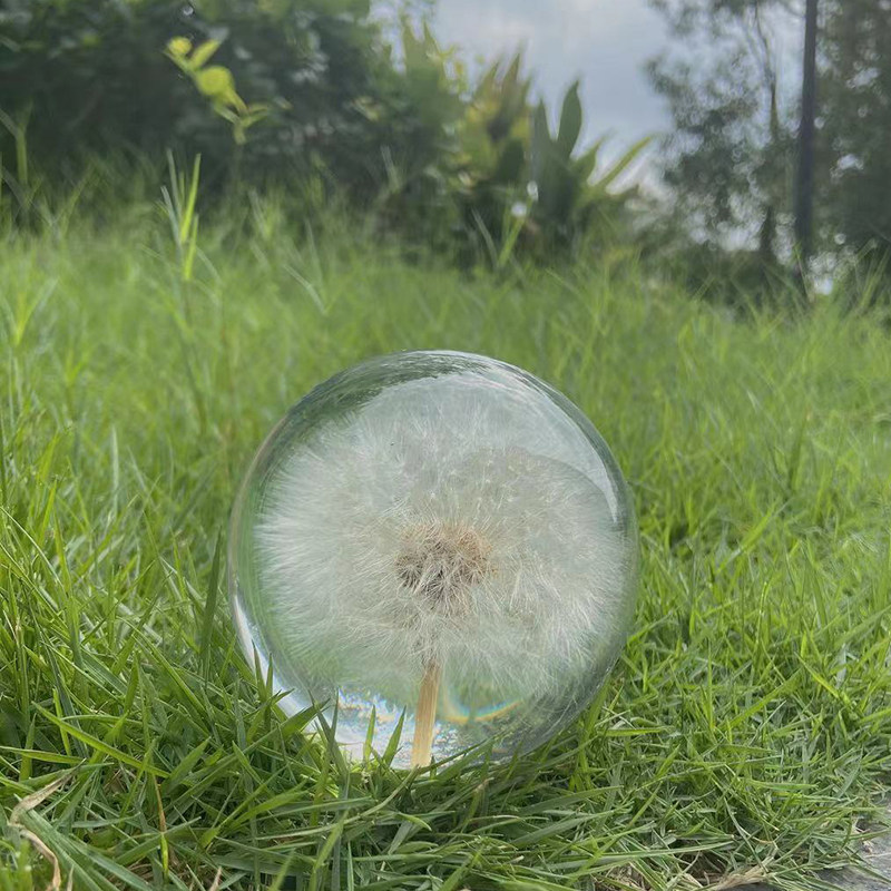 蒲公英水晶球