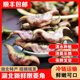 顺丰新鲜嫩菱角湖北特产生吃即食嫩菱角米棱角菱果现摘现发带壳