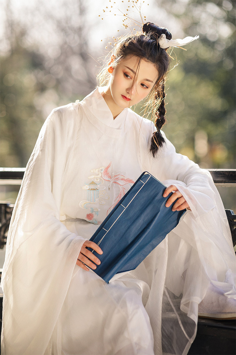 ai就是汉服的优惠券大全—明制圆领袍 琼楼玉宇 瑞兽呈祥 中国风古装