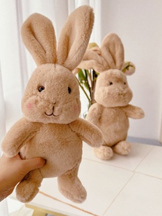 耳朵可折丹麦玩偶关节小兔子毛绒玩具可爱婴儿安抚兔儿童生日礼物