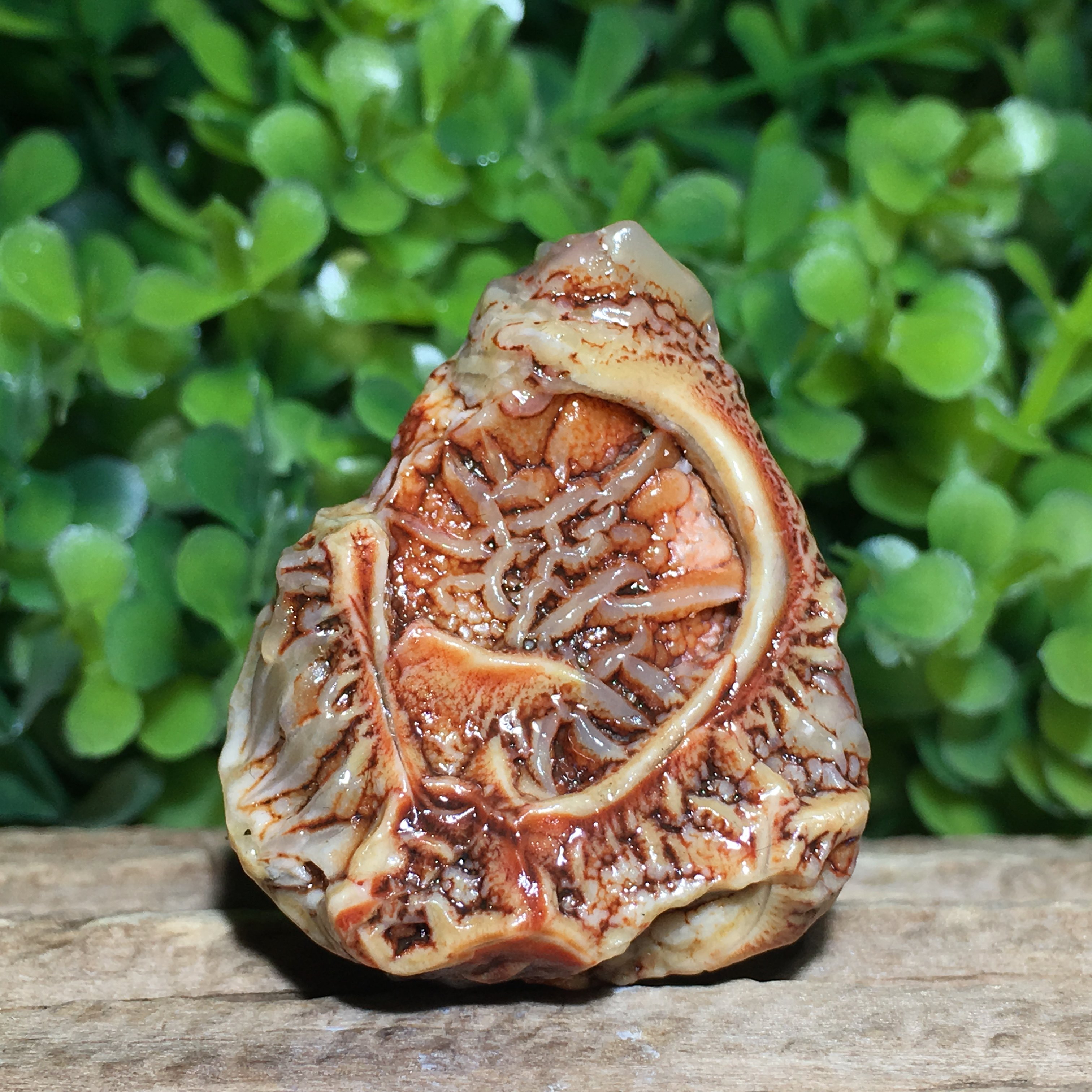 筋脉石玛瑙 飘花 精品 血脉 经脉石手串 项链 戈壁滩原石优惠券