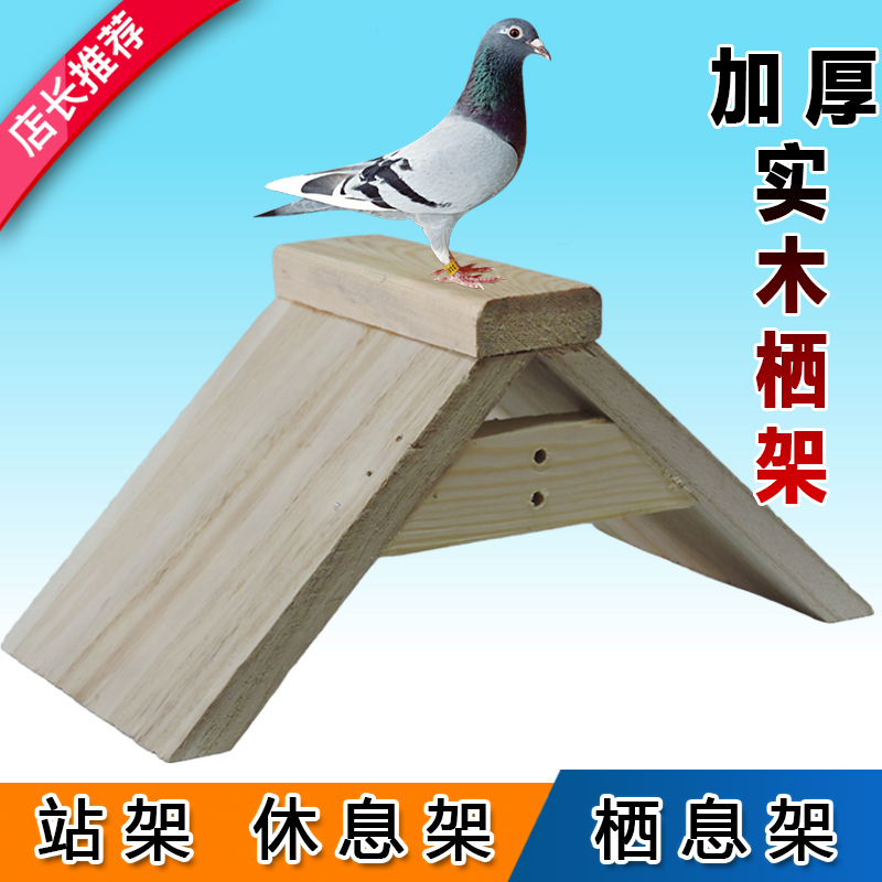 鸽子栖架站架实木塑料栖息架巢箱信赛鸽环鸽具鸽用品信鸽用具包邮