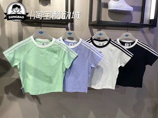 adidas三叶草 女子休闲经典短袖T恤JC8703/JC8705/JC8706/JC8704