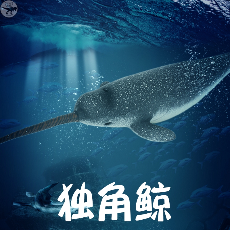 儿童仿真海洋动物玩具海底生物鲸鱼鲨