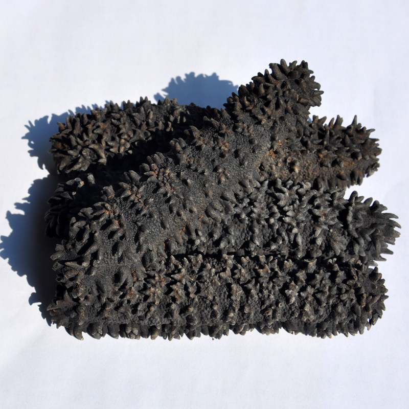 梅花参澳洲进口淡干海参深海野生刺参干货非大连辽食用水产250克