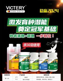 汉诺威鸽药大全种鸽调理套装组合信赛鸽子药品基础黄金整理套餐鸟