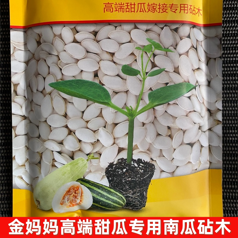 金妈妈南瓜嫁接砧木黄瓜甜瓜西瓜专用高端砧木南瓜种子高产抗病包