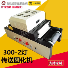 300/2灯型紫外线水银灯uv光固化uv机涂刷专业uv固化机烘烤干燥机