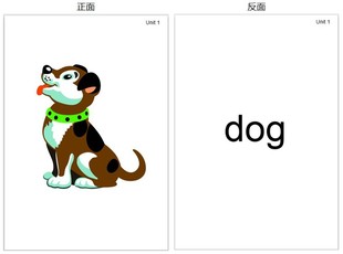 双面新概念英语青少版入门级a,b,1a1b单词大卡片闪卡过塑封教具