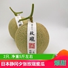 新鮮水果日本靜岡夕張玟珑蜜瓜海南玫瓏網紋瓜兩只約5斤促銷包郵 新鮮水果日本靜岡夕張玟珑蜜瓜海南玫瓏網紋瓜兩只約5斤促銷包郵