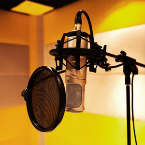 专业录音棚电容麦克风电台dj主播直播唱歌舞台大合唱大震膜话筒