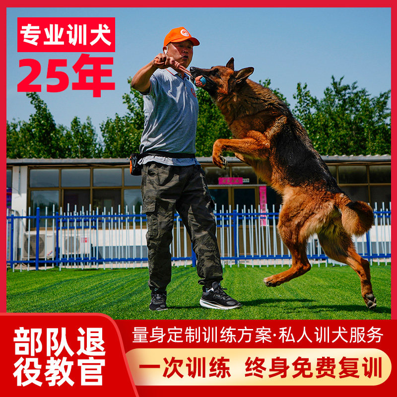 北京上门训狗狗宠物学校训练幼犬大小便生活行为纠正培训基地寄养