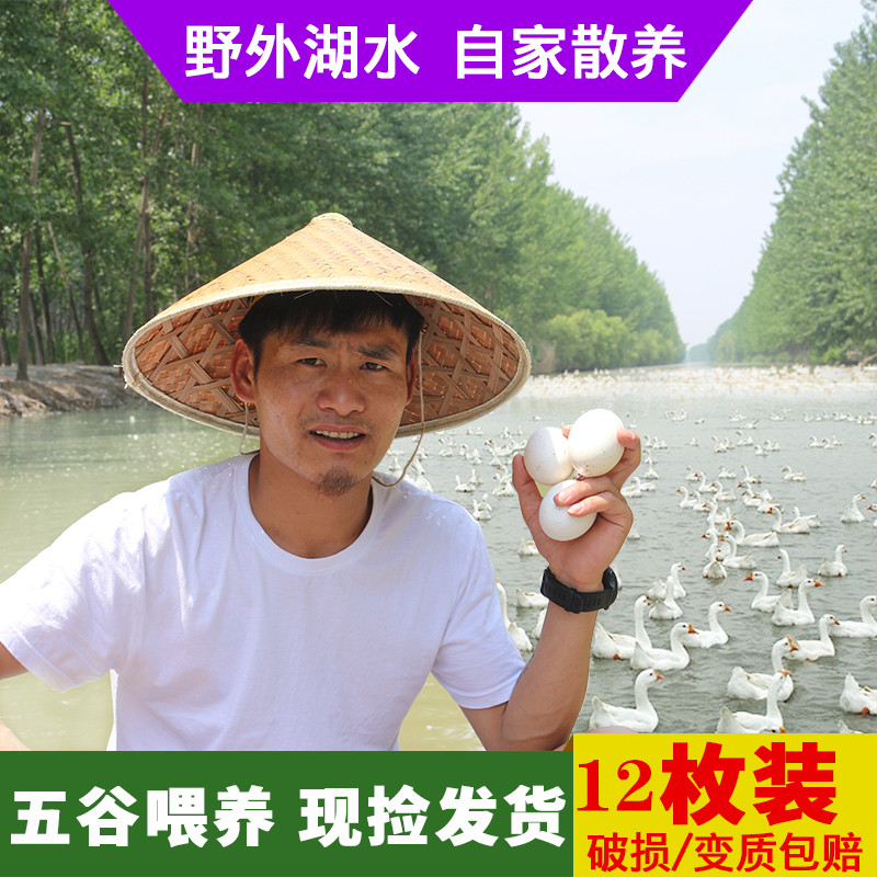新鲜鹅蛋农家散养大鹅蛋野外河水放养鹅蛋孕妇鹅蛋12枚 100-130克在类目 水产肉类/新鲜蔬果/熟食, 蛋/蛋制品, 鲜活蛋类, 鹅蛋中 - 来自Buy2taobao.com提供专业的淘宝代购服务