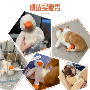 陪睡狗狗泰迪柯基幼犬毛绒鸭子宠物玩具发声耐咬磨牙解闷小狗用品