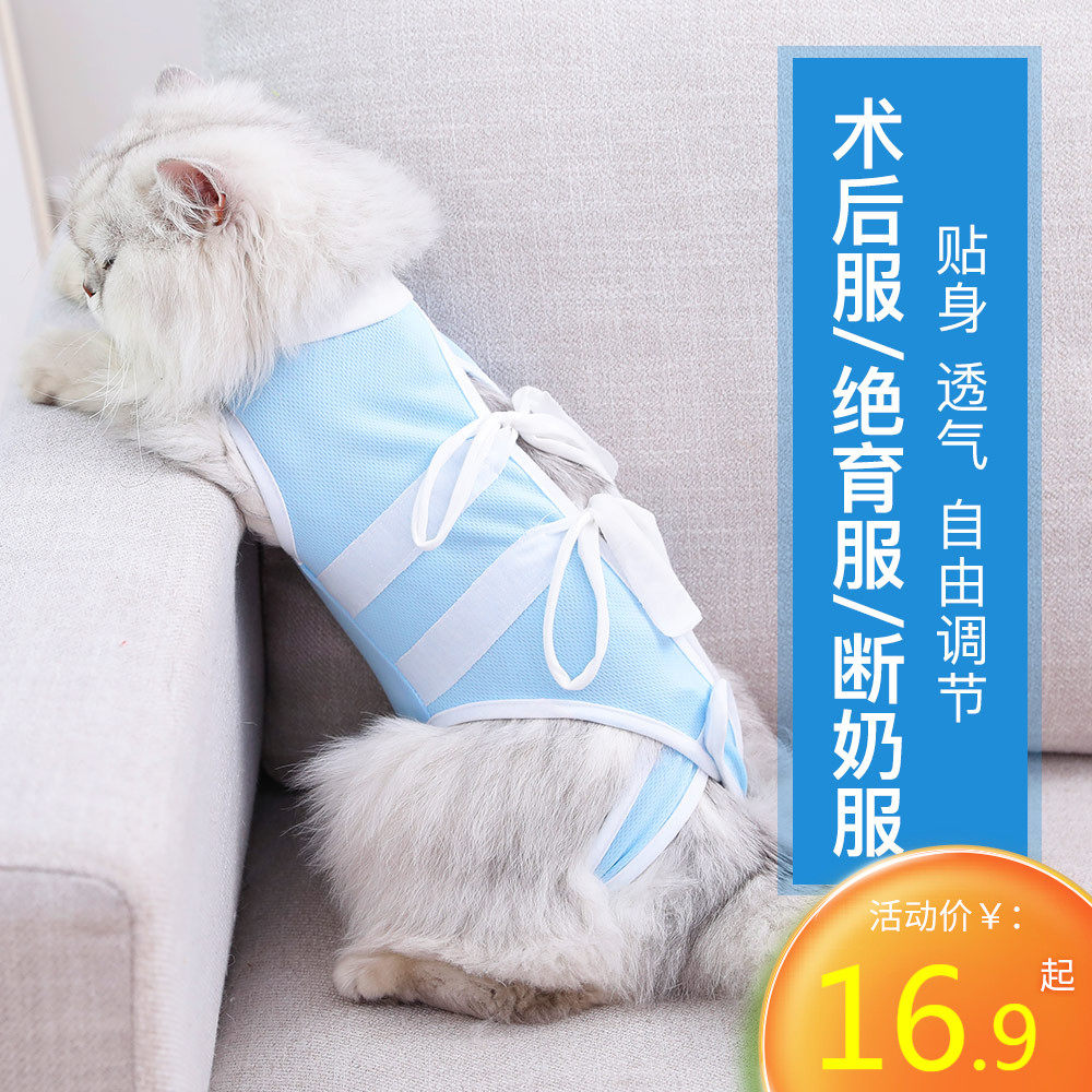 猫咪衣服母猫绝育手术服断奶服柔软薄款四脚猫咪防舔保暖满30包邮